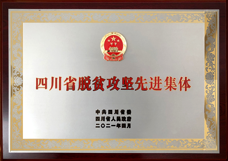 йyl23411()Ź-Officialwebsite